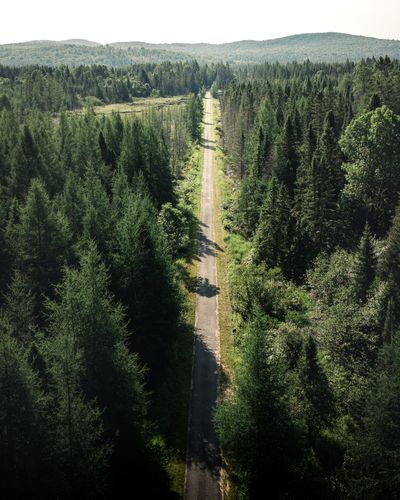Vue aérienne du P'tit Train du Nord traversant la forêt des Hautes-Laurentides